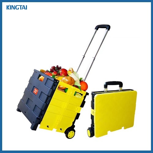 Plastic Foldable Trolley