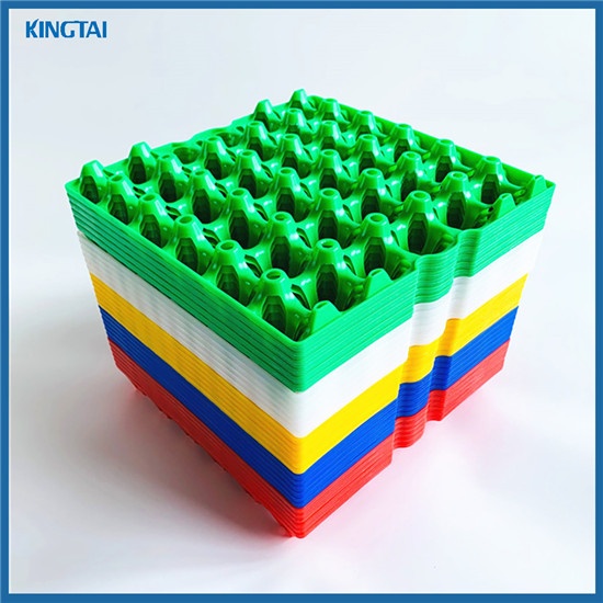 30 Cells Plastic Egg Tray