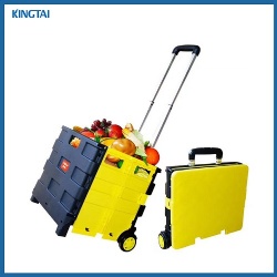 Plastic Foldable Trolley