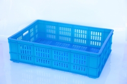 Plastic Tray