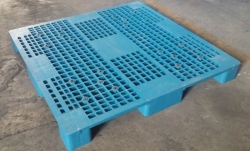 Plastic Pallet